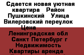 Сдается новая уютная квартира › Район ­ Пушкинский › Улица ­ Вилеровский переулок › Цена ­ 25 000 - Ленинградская обл., Санкт-Петербург г. Недвижимость » Квартиры аренда   . Ленинградская обл.,Санкт-Петербург г.